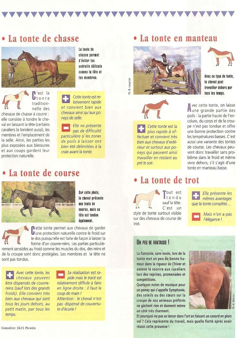 Cheval mag - les articles - Page 3 287-to11