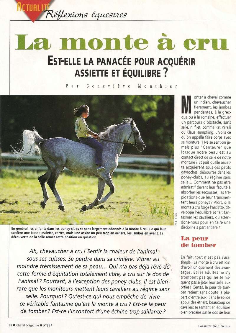 Cheval mag - les articles - Page 3 297-cr11