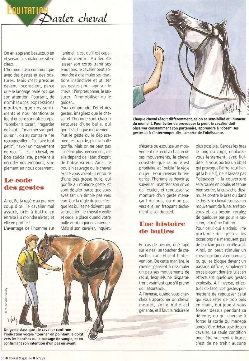 Cheval mag - les articles - Page 3 298-ge11