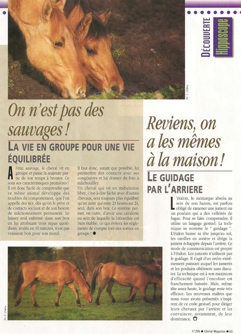 Cheval mag - les articles - Page 3 298-ps10