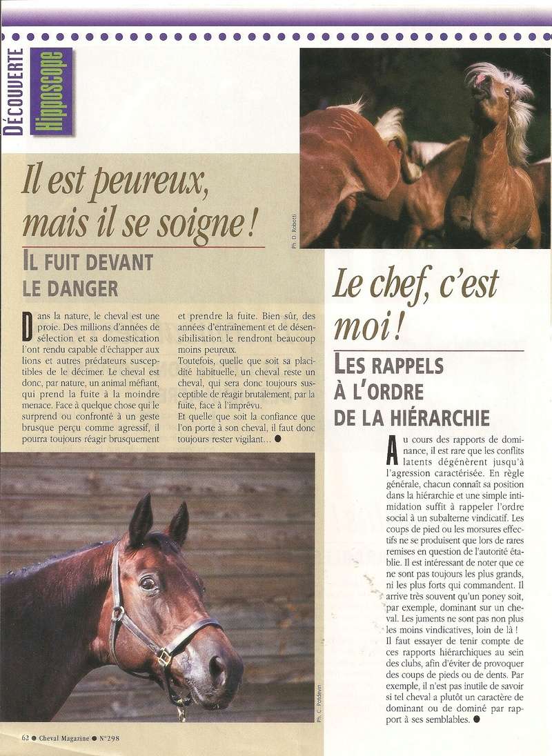 Cheval mag - les articles - Page 3 298-ps11
