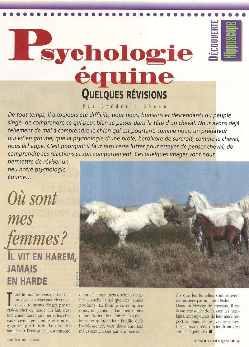 Cheval mag - les articles - Page 3 298-ps12