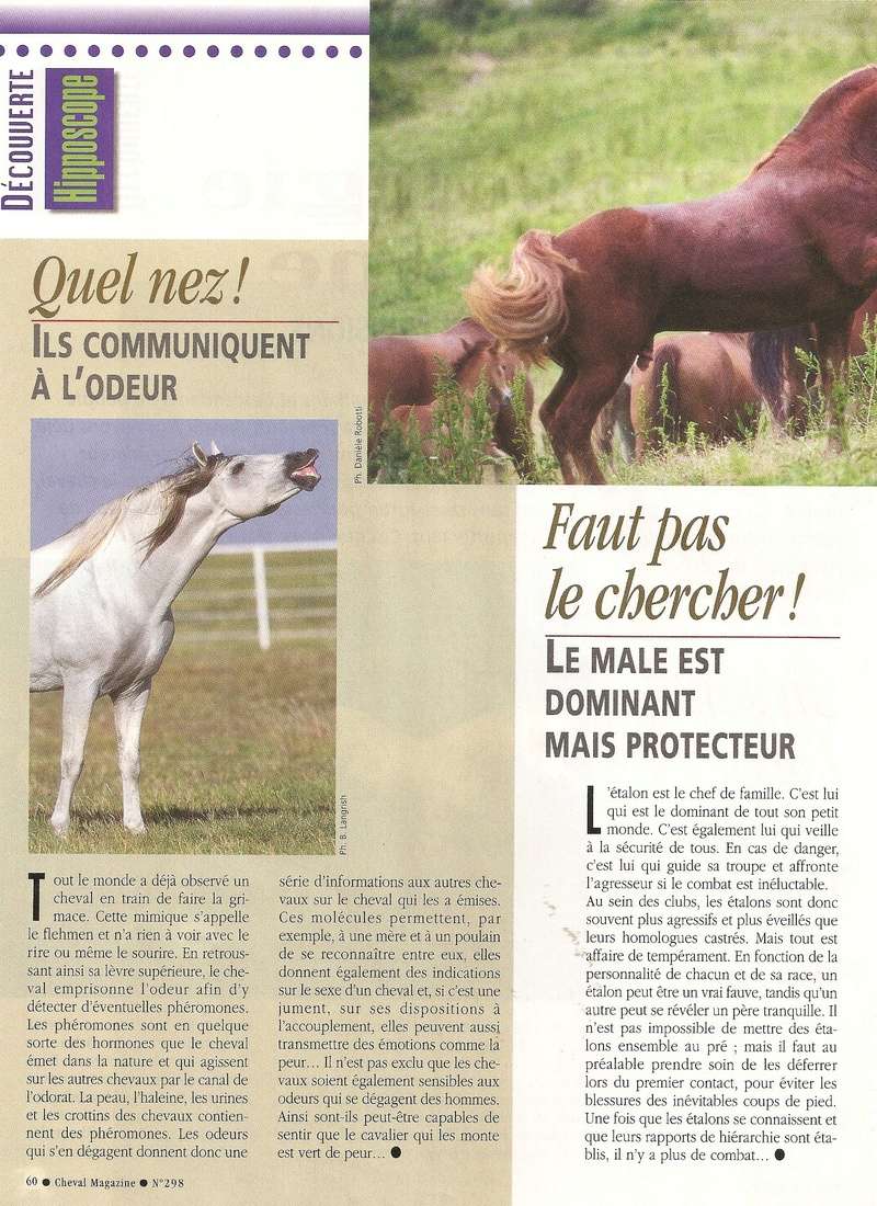 Cheval mag - les articles - Page 3 298-ps13