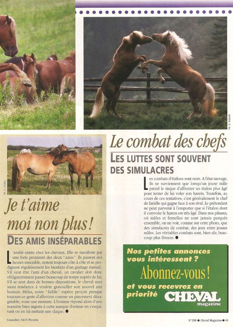 Cheval mag - les articles - Page 3 298-ps14