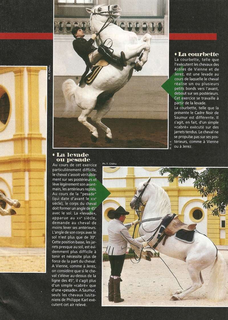 Cheval mag - les articles - Page 3 299_210