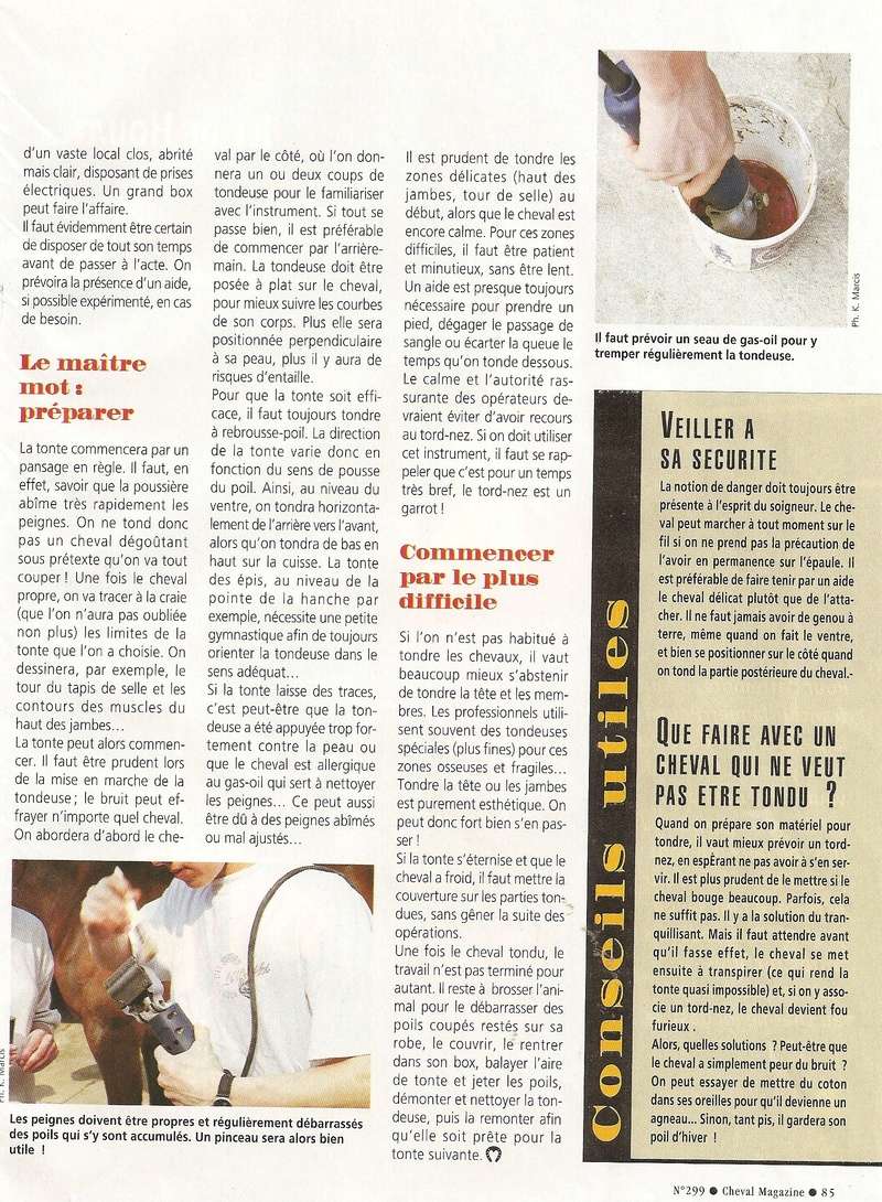 Cheval mag - les articles - Page 3 299_2210