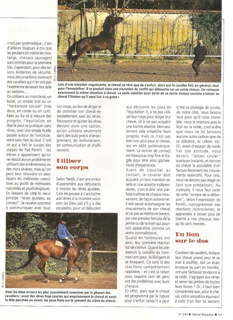 Cheval mag - les articles - Page 3 299_510