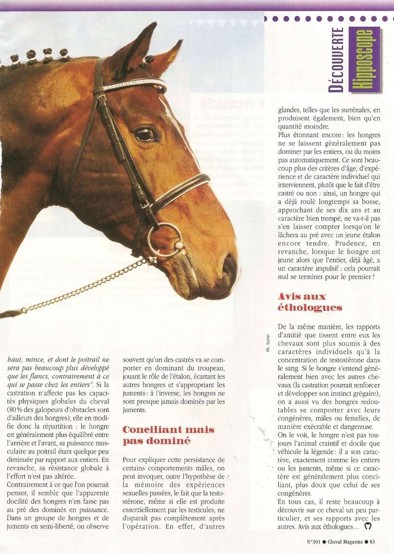 Cheval mag - les articles - Page 3 301_ho14