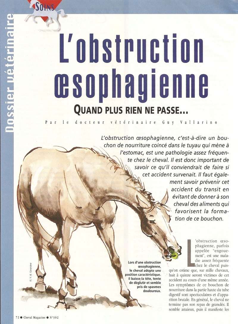 Cheval mag - les articles - Page 3 302-0110