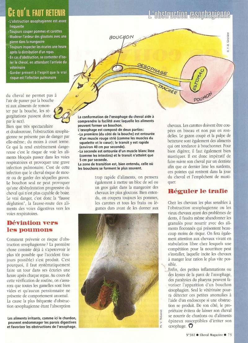 Cheval mag - les articles - Page 3 302-0112