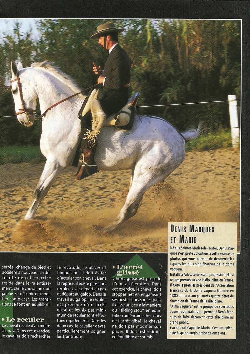 Cheval mag - les articles - Page 3 302-0118