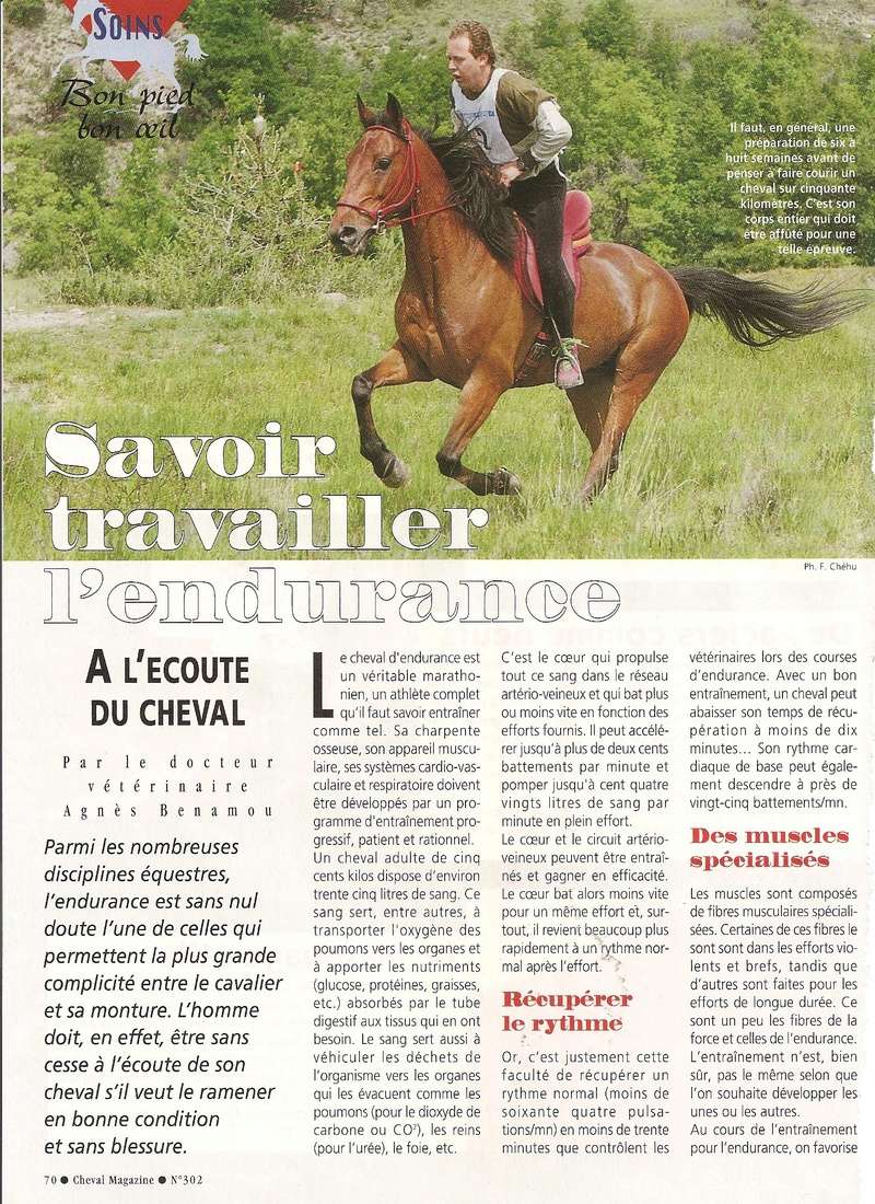 Cheval mag - les articles - Page 3 302-0120