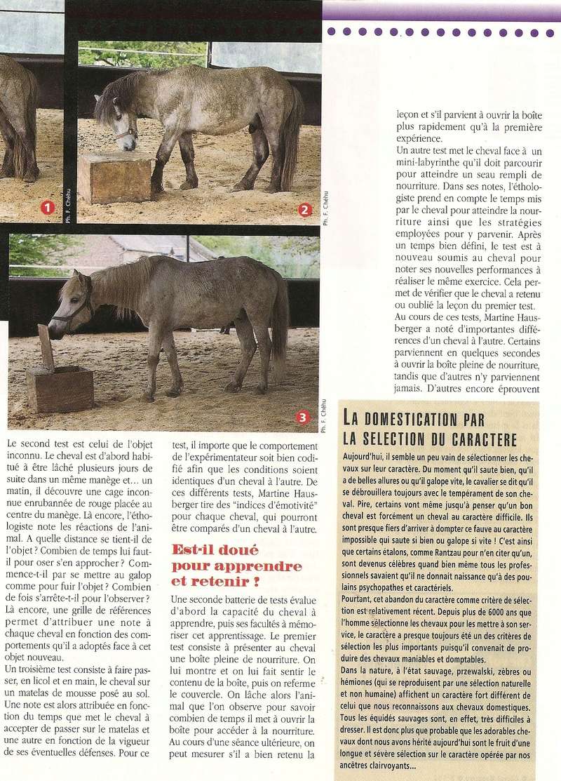 Cheval mag - les articles - Page 3 302-0124