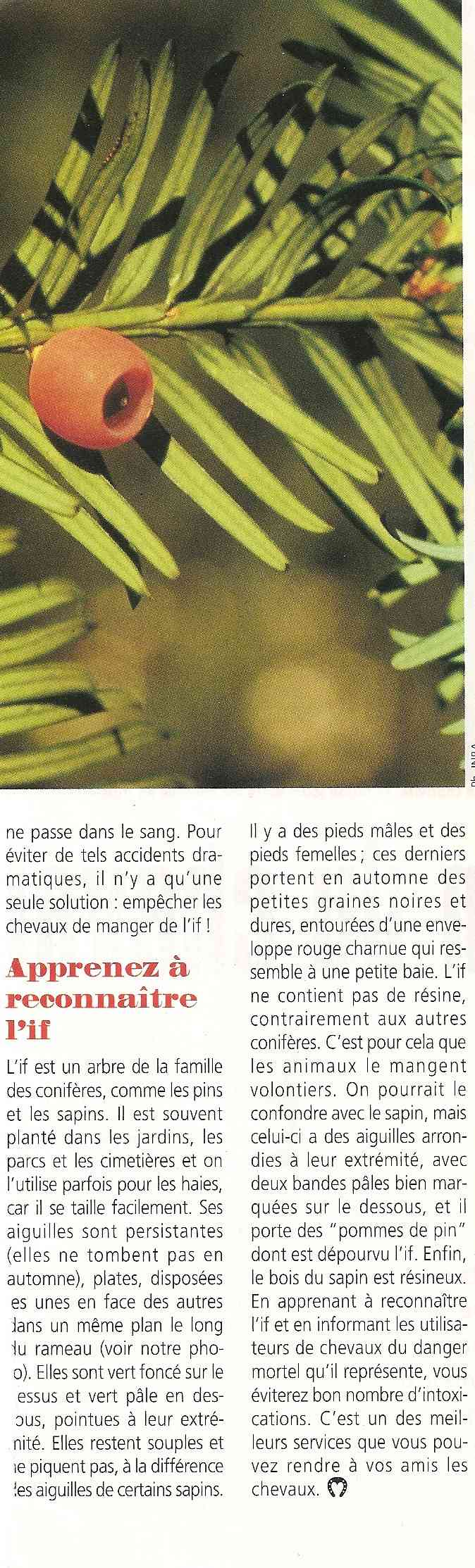 Cheval mag - les articles - Page 3 303_if10