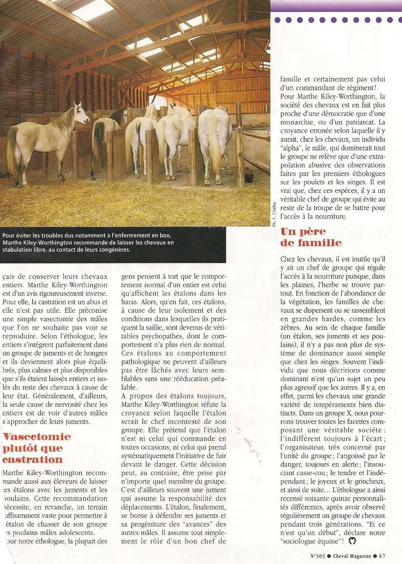 Cheval mag - les articles - Page 3 303_mk11