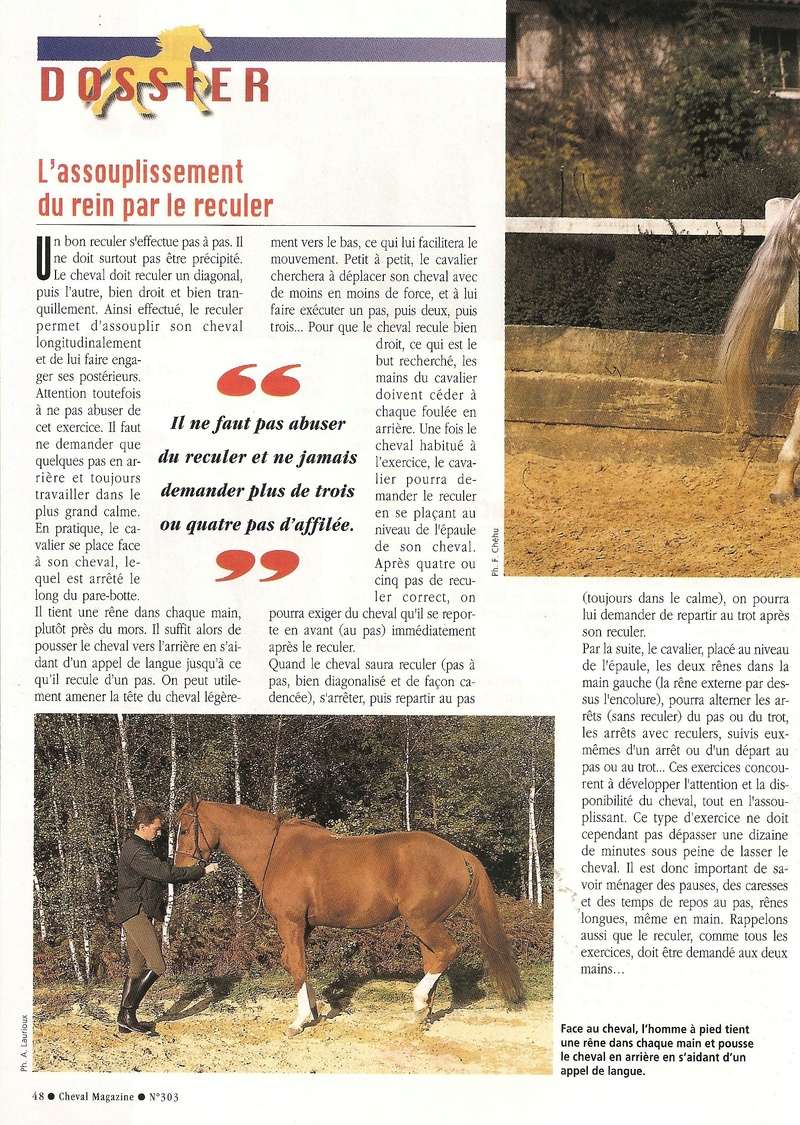 Cheval mag - les articles - Page 3 303_ta11