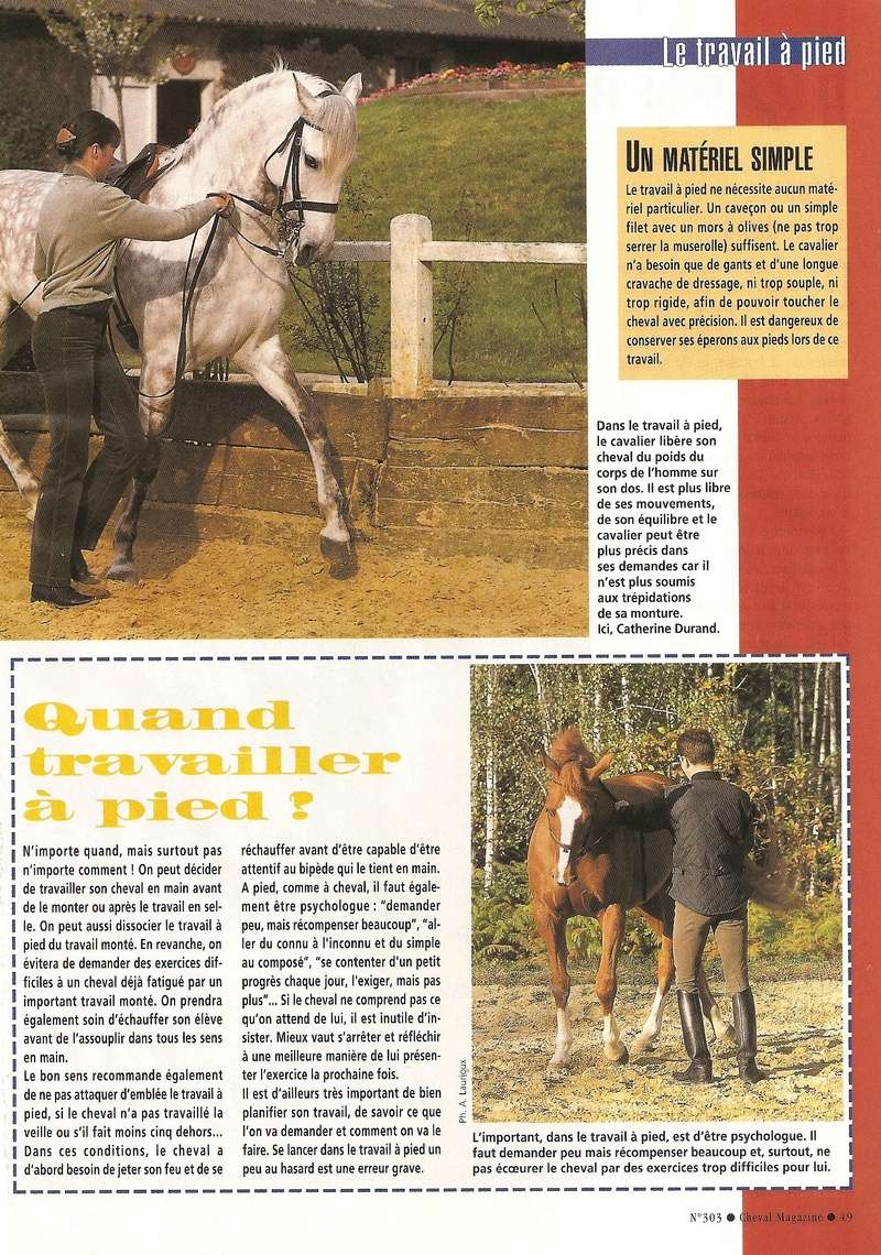 Cheval mag - les articles - Page 3 303_ta13