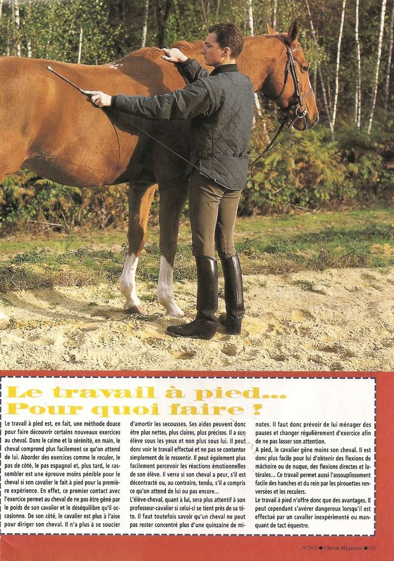 Cheval mag - les articles - Page 3 303_ta14