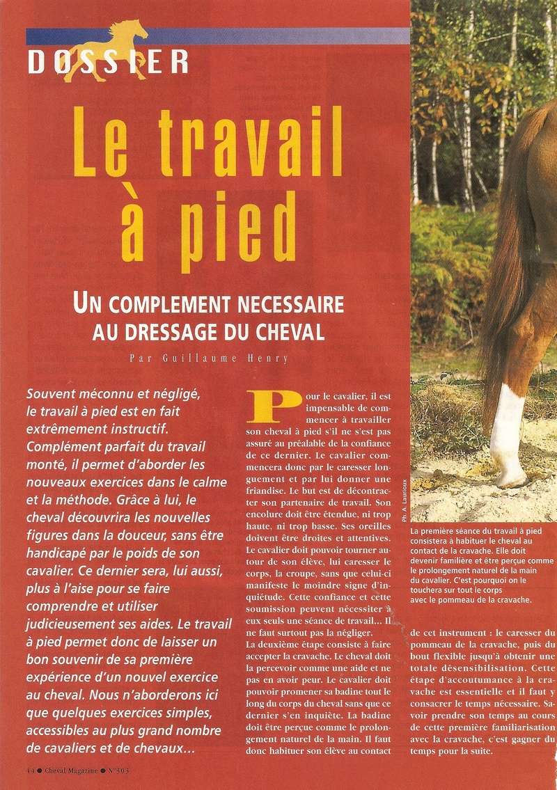 Cheval mag - les articles - Page 3 303_ta15