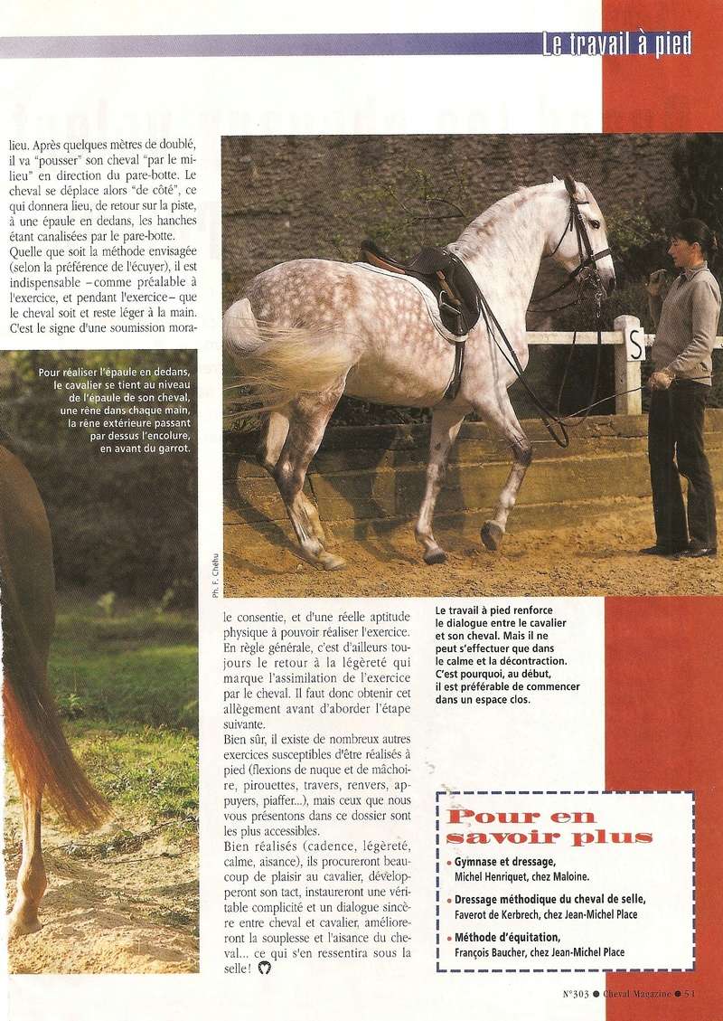 Cheval mag - les articles - Page 3 303_ta17