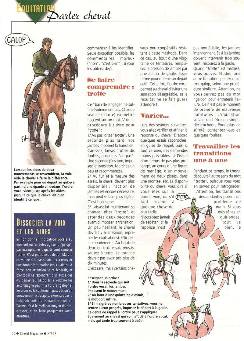 Cheval mag - les articles - Page 3 303_vo11