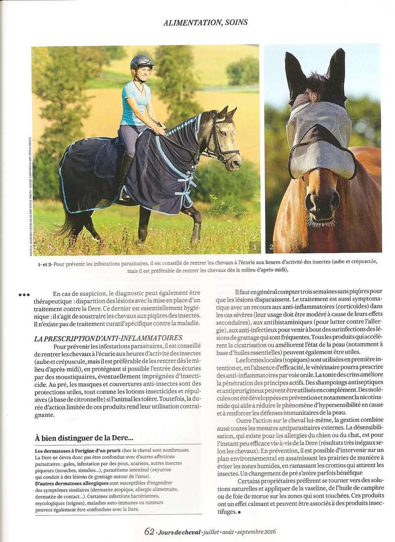 Cheval mag - les articles - Page 3 Jours_10