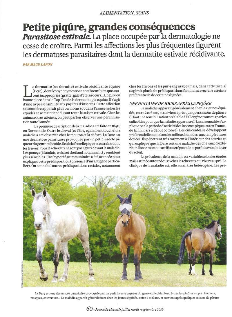 Cheval mag - les articles - Page 3 Jours_11