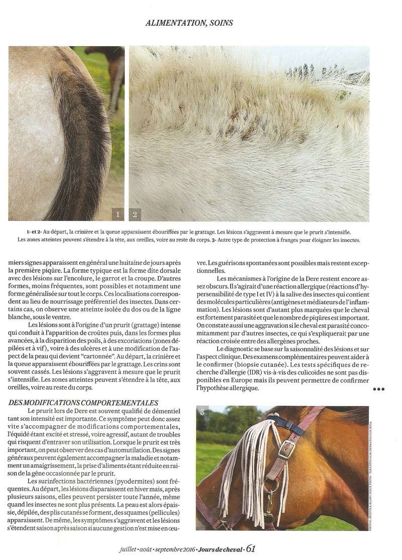 Cheval mag - les articles - Page 3 Jours_12