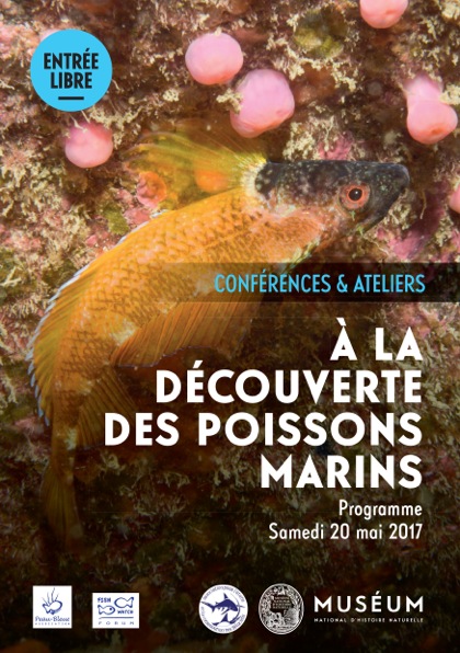 « A la découverte des poissons marins » - Station marine et le Marinarium de Concarneau Flyer_10