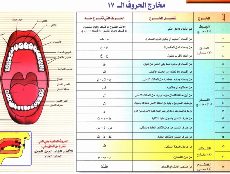 التجويد المبسط للمبتدئين Ouoouu11