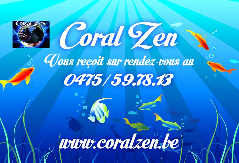 Bonjour  tous  Coral_10