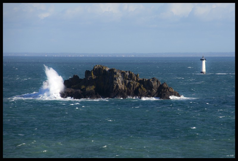 Pointe du Grouin- Le Herpin  Dsc03210