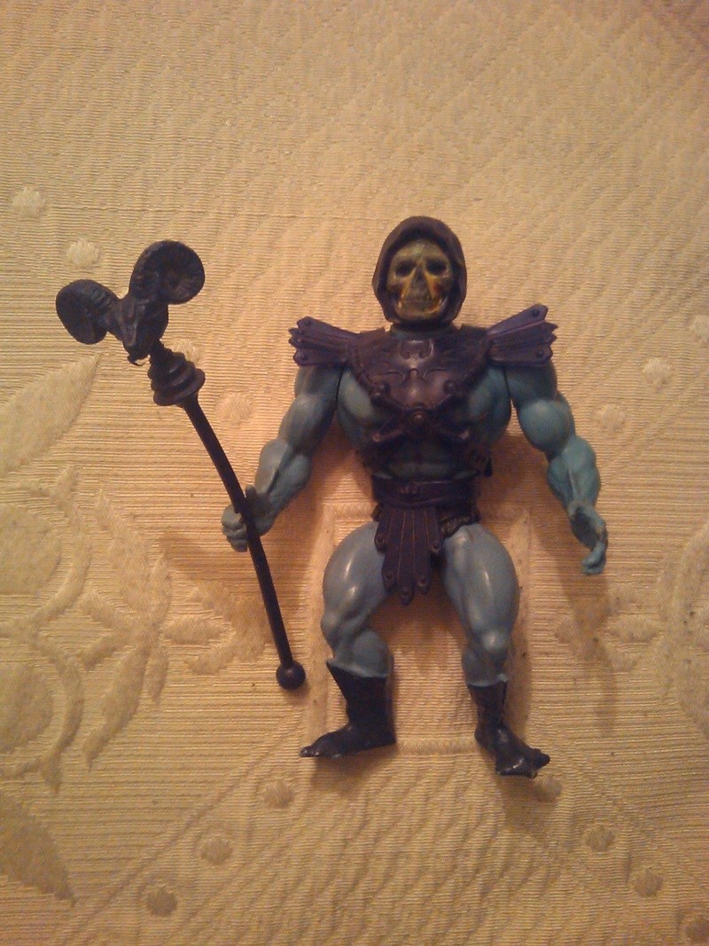 cerco he man e scheletor completi per collezione 2014-053