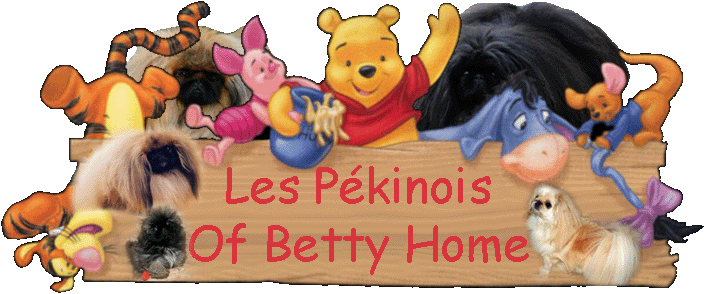 Les Pékinois Of Betty Home