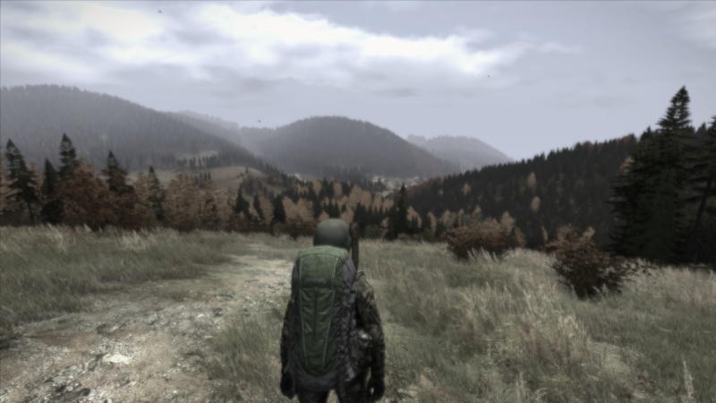 [jeu survivaliste] DAYZ communauté CA2 (serveur FR 2-17) - Page 8 2013-114