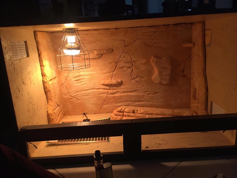 Construction d'un terrarium pour mon gecko - Page 2 16930910