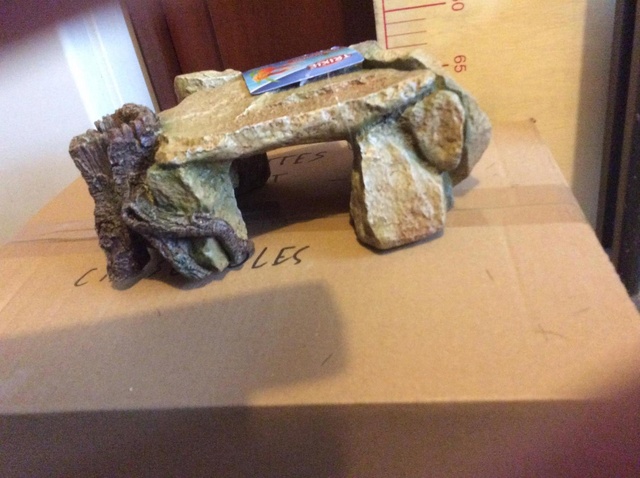 Construction  d'un terrarium pour mon gecko - Page 2 16990910