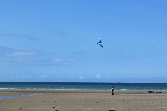 Sur les plages bretonne Receiv14