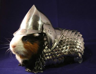 Saw this and thought of you Mr T :D Mr_t10