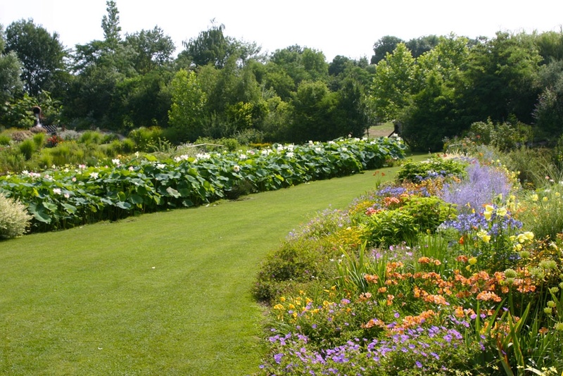 (81) Le jardin des Martels - Giroussens Jardin10