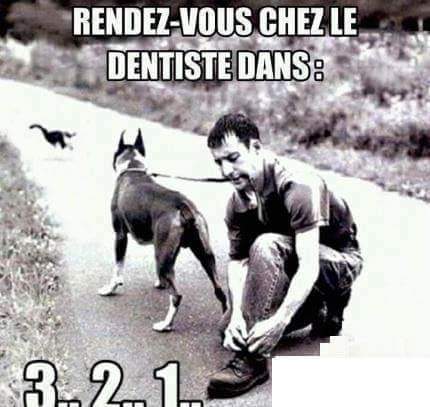 humour - Page 20 14495212