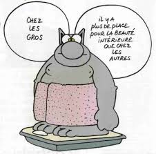 humour - Page 35 Images14