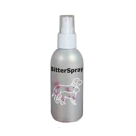 Trucs et astuces pour soigner son chien  Bitter11