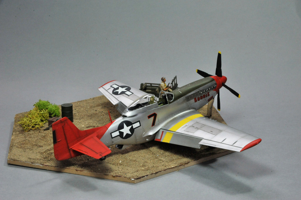 Mustang - N.A. P-51D Mustang Tuskegee Airmen [Tamiya 1/48] Dsc_3712