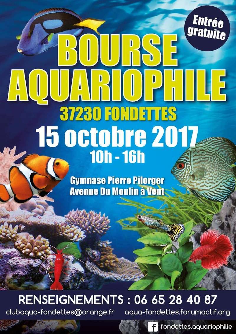 Bourses aquariophile de FONDETTES (37) Receiv10