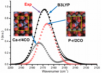 STUDIES OF HYDROXYLAPATITE CRYSTAL MORPHOLOGY: A COMBINED INFRARED AND B3LYP STUDY Dddnd_11