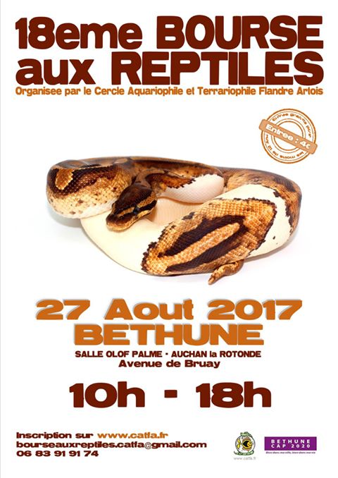 18ème bourse aux reptiles à Béthune - le 27 août 2017 2017_013