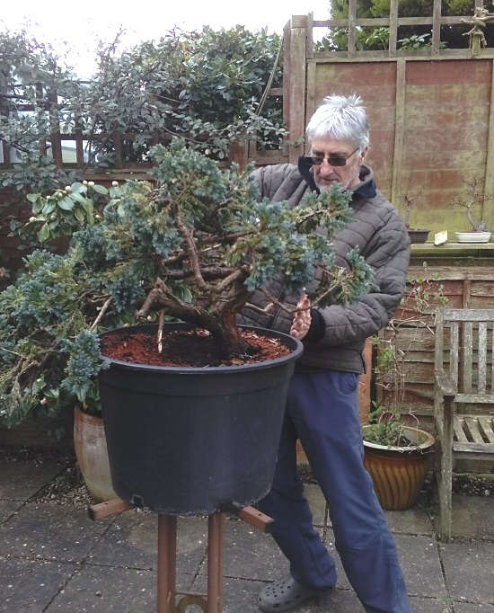 Juniper find Ade_st10