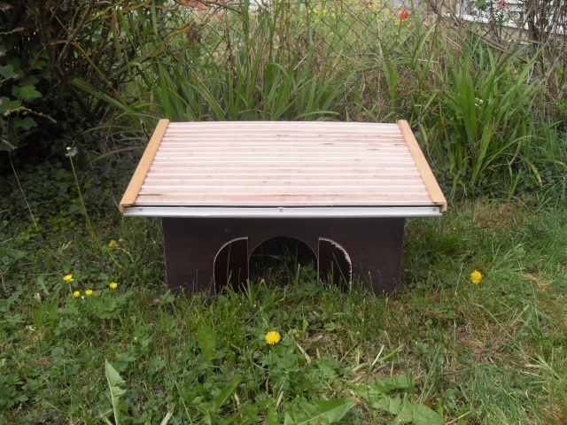 tuto pour une maison Sdc10812