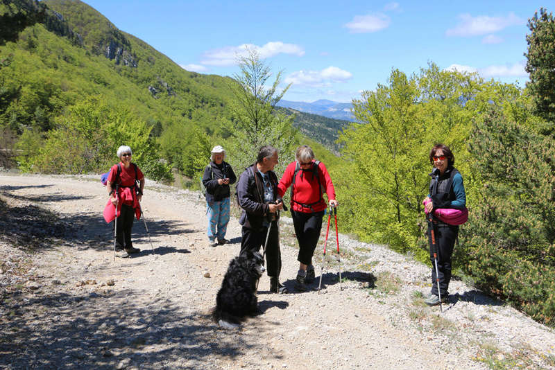 Montagne de la Mare Montag18